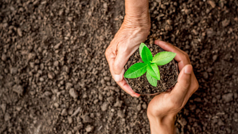 El gran reto del ecosistema AgroTech en México
