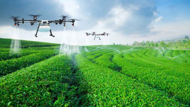Agrotech en Argentina: Qué es, retos y futuro | InnovaciónDigital360