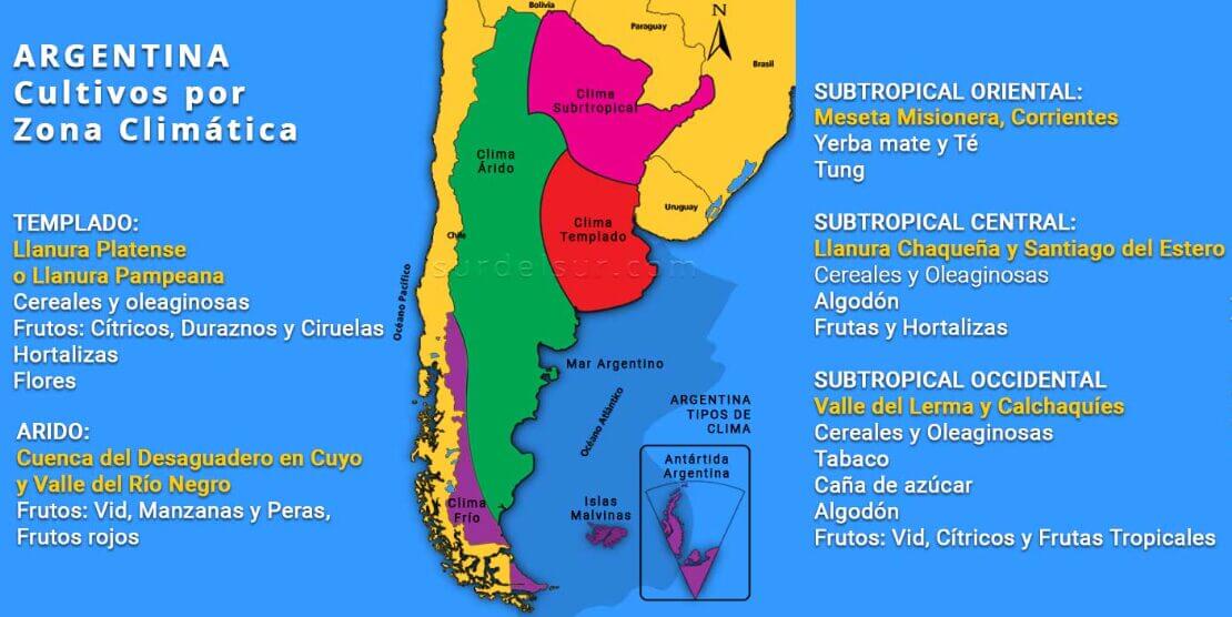 Mapa de Argentina que muestra la producción agrícola según zona climática, con detalle de los cultivos predominantes en regiones templadas, áridas y subtropicales, incluyendo la Llanura Pampeana, Cuyo, el Noroeste y el Noreste argentino.
