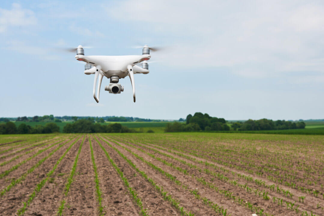Dron volando sobre campo agrícola en Argentina para monitoreo y aplicación precisa de insumos, destacando la adopción de drones en el agro.