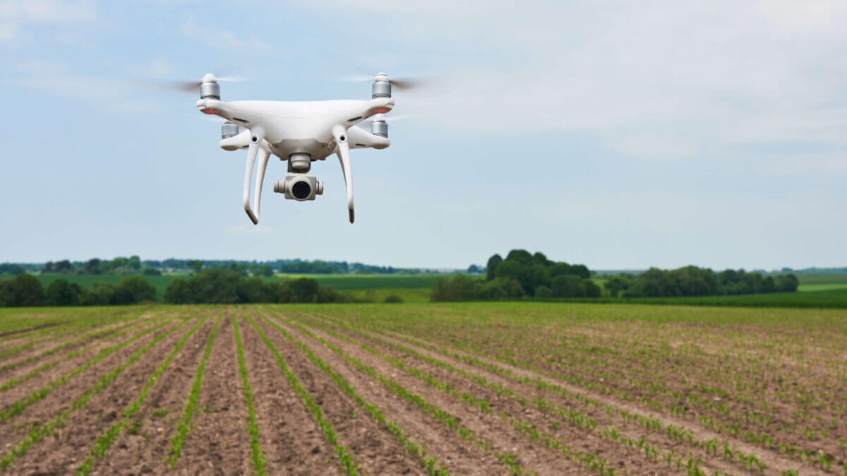 Dron volando sobre campo agrícola en Argentina para monitoreo y aplicación precisa de insumos, destacando la adopción de drones en el agro.
