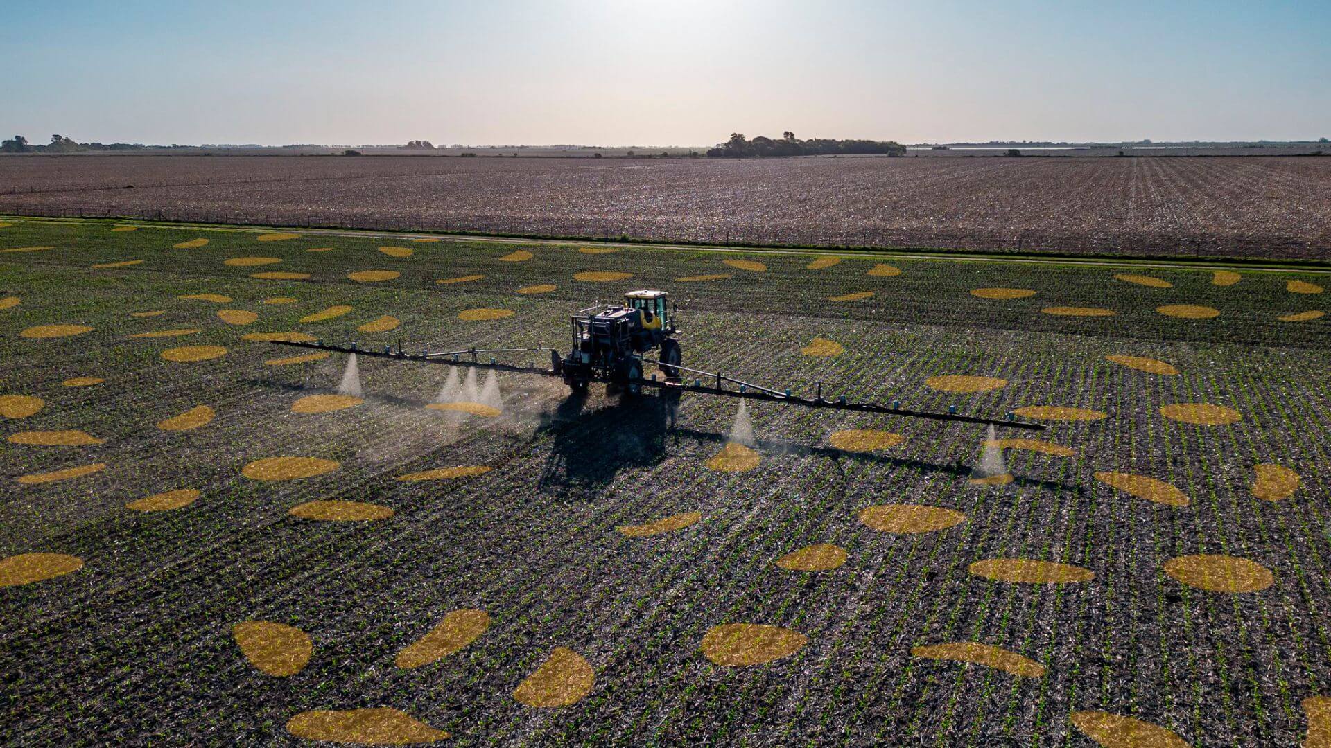 Maquinaria agrícola equipada con tecnología de DeepAgro pulveriza únicamente las zonas donde detecta malezas.