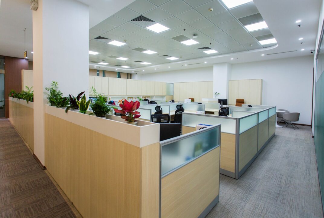 filtración de datos en consultoras.